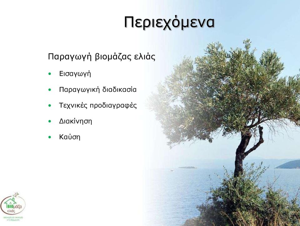 Παραγωγική διαδικασία