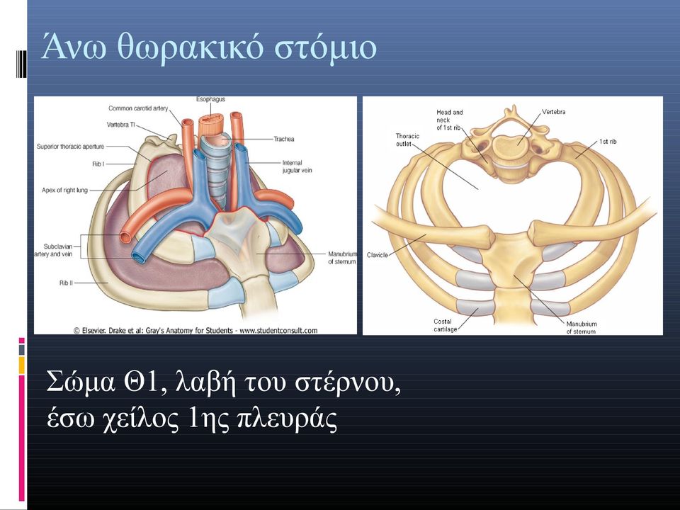 λαβή του στέρνου,