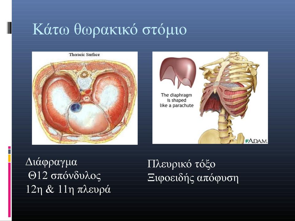 12η & 11η πλευρά