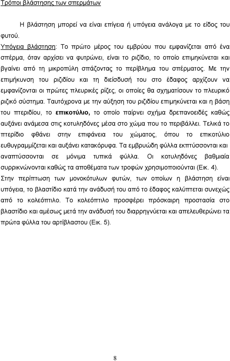 σπέρματος. Με την επιμήκυνση του ριζιδίου και τη διείσδυσή του στο έδαφος αρχίζουν να εμφανίζονται οι πρώτες πλευρικές ρίζες, οι οποίες θα σχηματίσουν το πλευρικό ριζικό σύστημα.