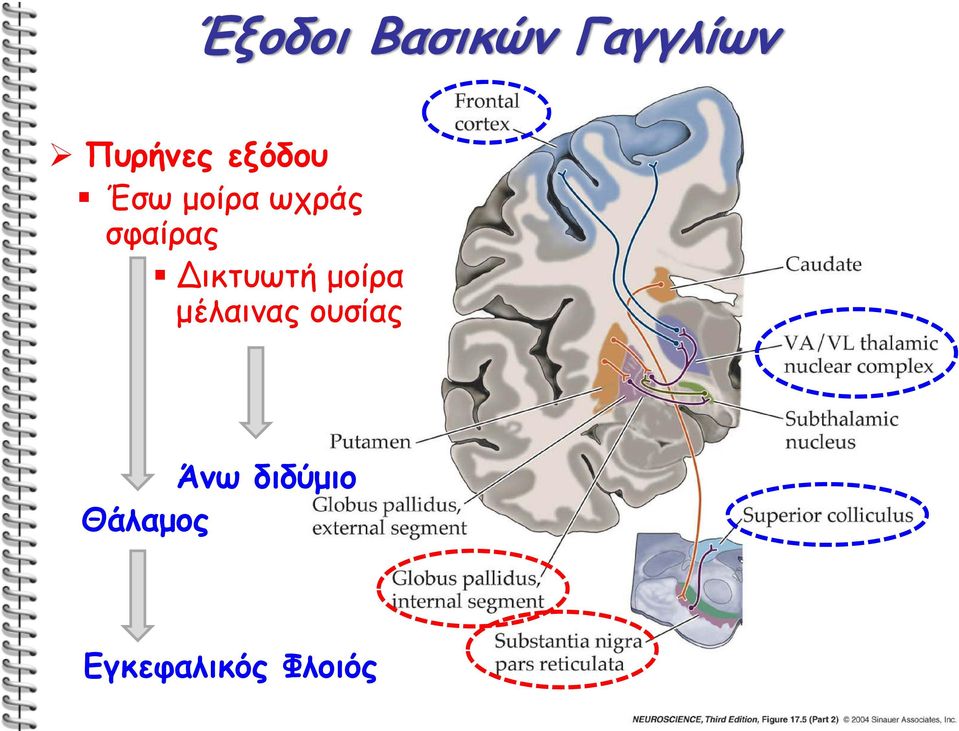 Δικτυωτή μοίρα μέλαινας ουσίας