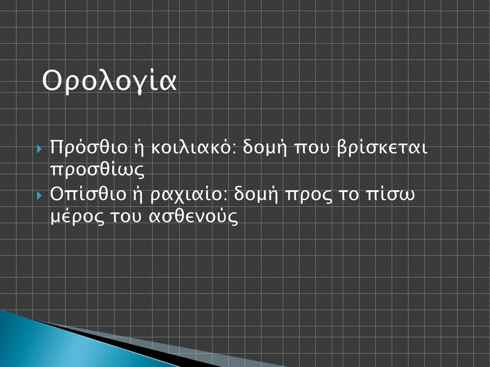 Οπίσθιο ή ραχιαίο: δομή