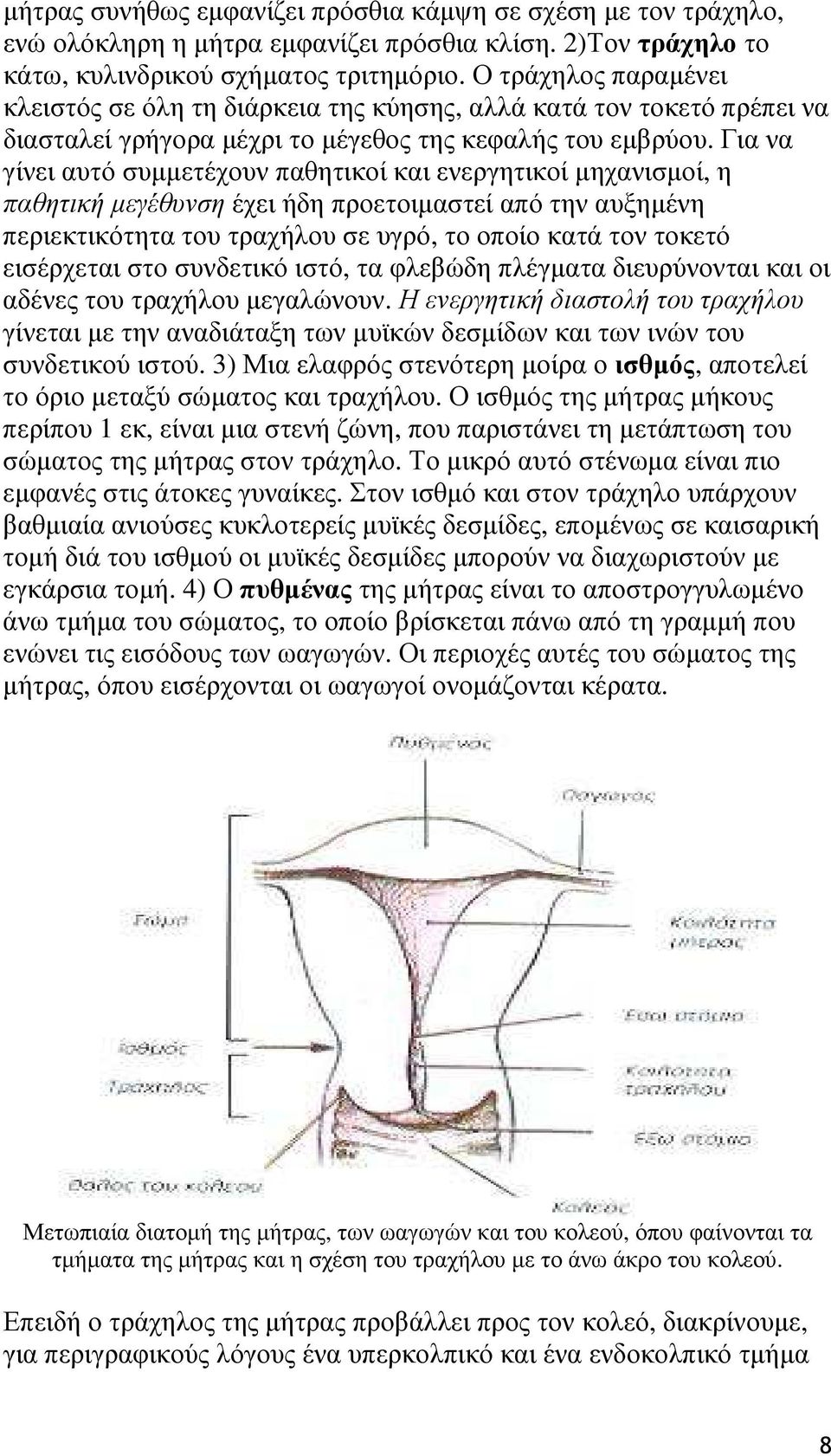 Για να γίνει αυτό συµµετέχουν παθητικοί και ενεργητικοί µηχανισµοί, η παθητική µεγέθυνση έχει ήδη προετοιµαστεί από την αυξηµένη περιεκτικότητα του τραχήλου σε υγρό, το οποίο κατά τον τοκετό