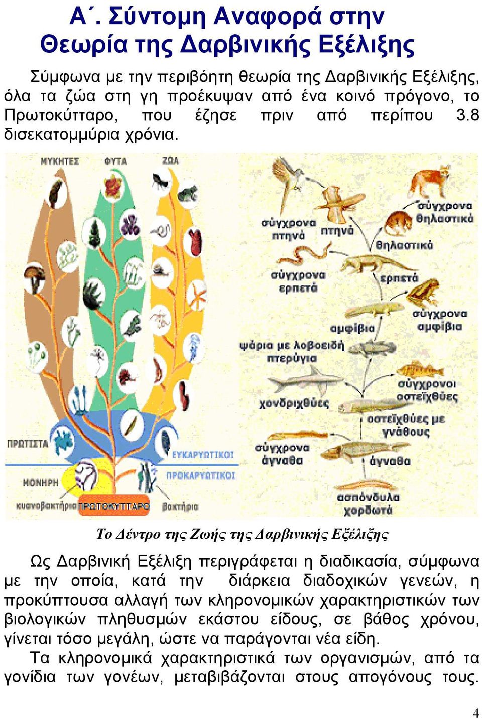 Το Δέντρο της Ζωής της Δαρβινικής Εξέλιξης Ως Δαρβινική Εξέλιξη περιγράφεται η διαδικασία, σύμφωνα με την οποία, κατά την διάρκεια διαδοχικών γενεών, η προκύπτουσα
