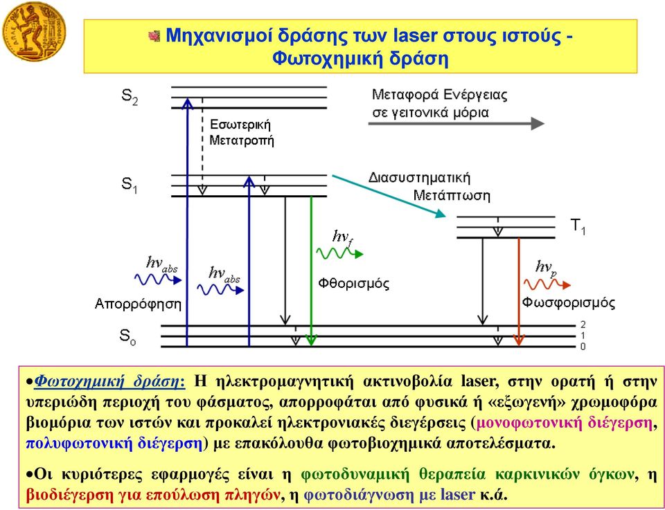 ηλεκτρονιακές διεγέρσεις (μονοφωτονική διέγερση, πολυφωτονική διέγερση) με επακόλουθα φωτοβιοχημικά αποτελέσματα.