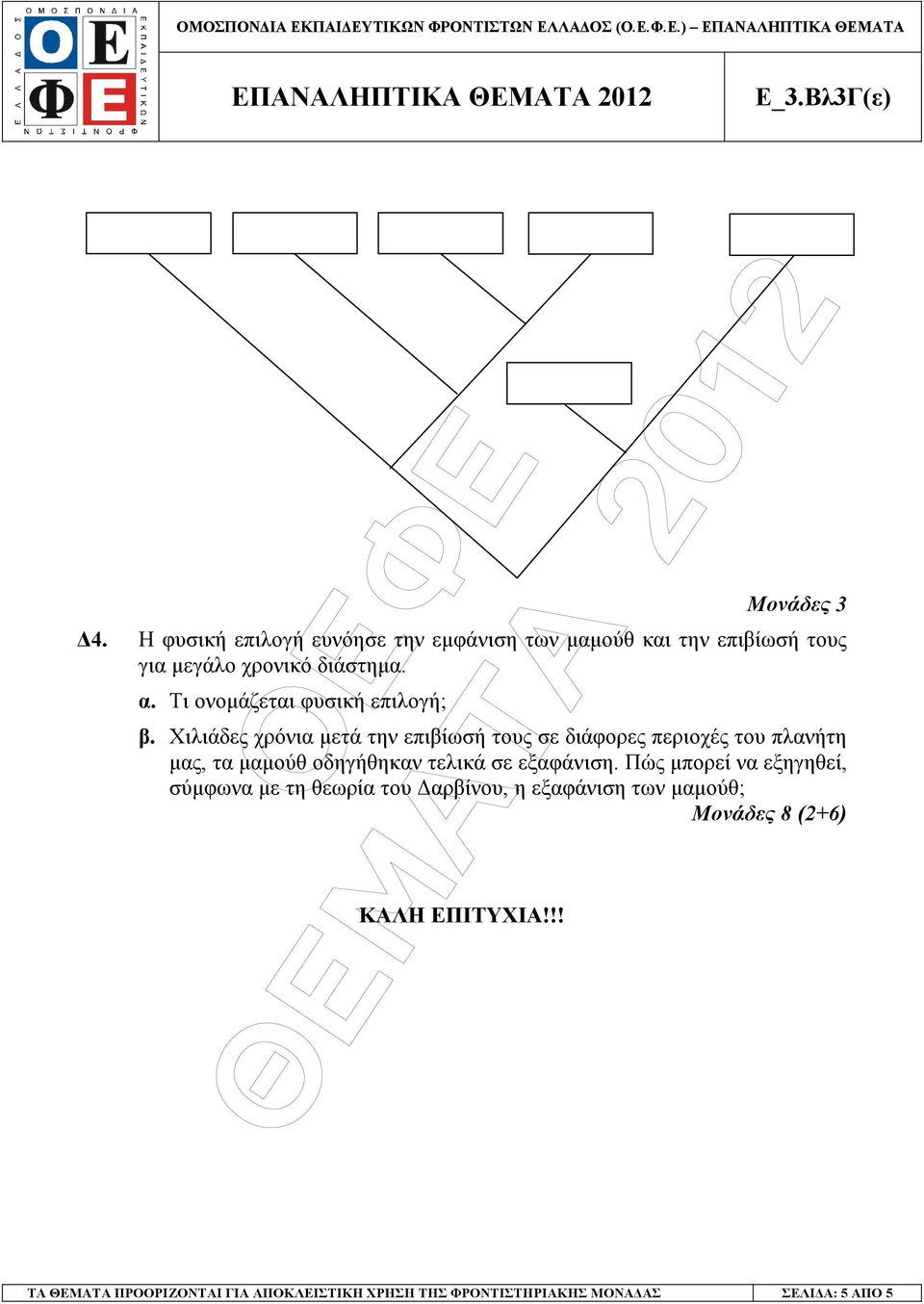 Χιλιάδες χρόνια µετά την επιβίωσή τους σε διάφορες περιοχές του πλανήτη µας, τα µαµούθ οδηγήθηκαν τελικά σε εξαφάνιση.