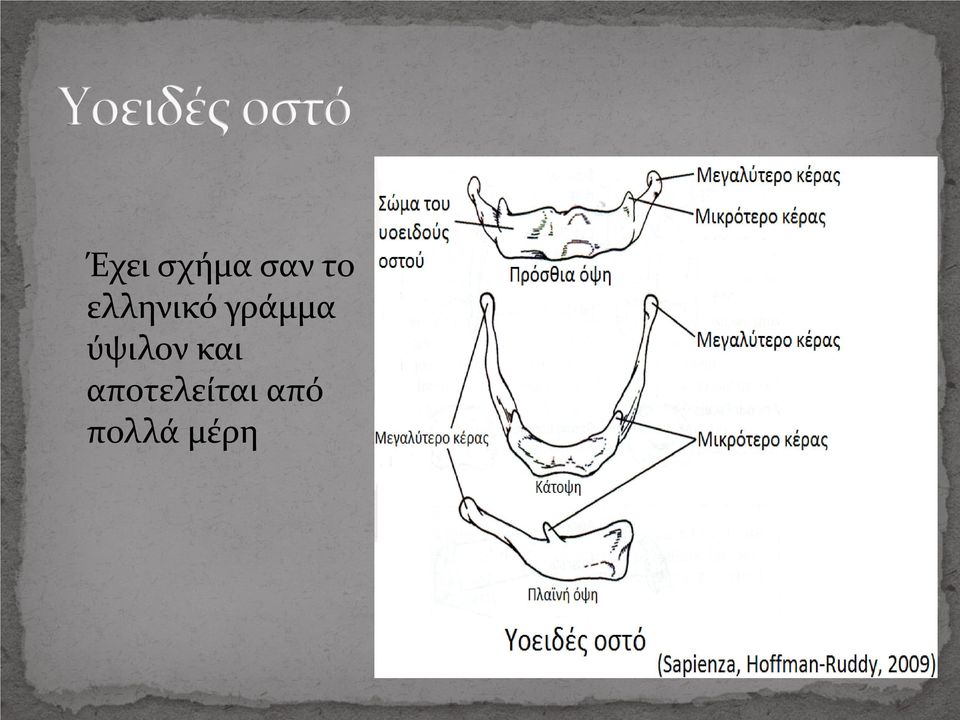 ύψιλον και