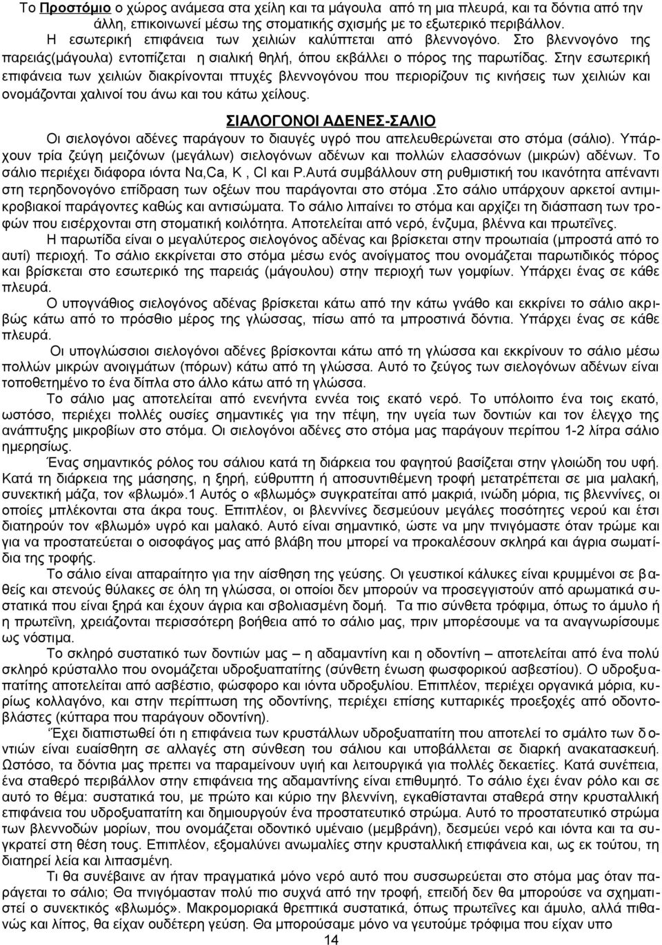 Στην εσωτερική επιφάνεια των χειλιών διακρίνονται πτυχές βλεννογόνου που περιορίζουν τις κινήσεις των χειλιών και ονομάζονται χαλινοί του άνω και του κάτω χείλους.