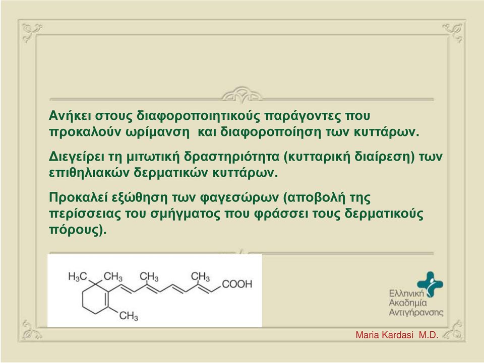 Διεγείρει τη μιτωτική δραστηριότητα (κυτταρική διαίρεση) των επιθηλιακών