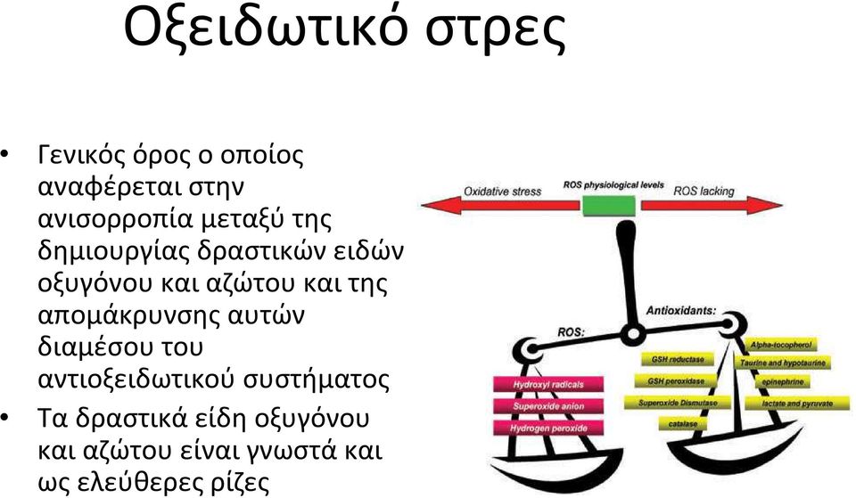 απομάκρυνσης αυτών διαμέσου του αντιοξειδωτικού συστήματος Τα