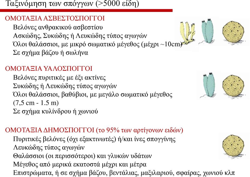 μέγεθος (7,5 cm - 1.