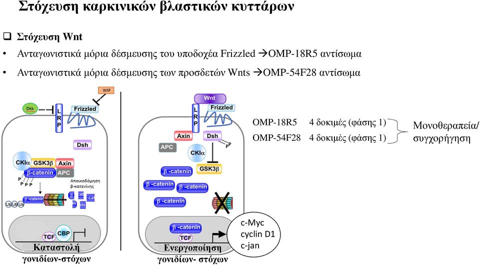 OMP-54F28 αντίσωµα OMP-18R5 4 δοκιµές (φάσης 1) OMP-54F28 4 δοκιµές (φάσης 1)