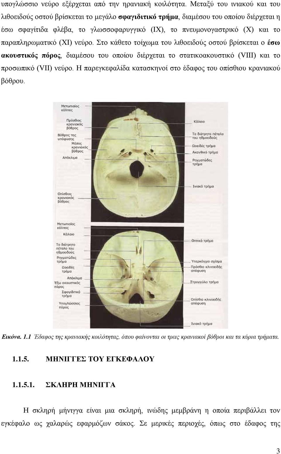 παραπληρωματικό (ΧΙ) νεύρο. Στο κάθετο τοίχωμα του λιθοειδούς οστού βρίσκεται ο έσω ακουστικός πόρος, διαμέσου του οποίου διέρχεται το στατικοακουστικό (VIII) και το προσωπικό (VII) νεύρο.