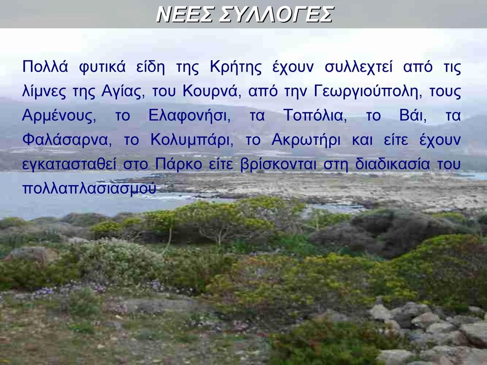 τα Τοπόλια, το Βάι, τα Φαλάσαρνα, το Κολυμπάρι, το Ακρωτήρι και είτε