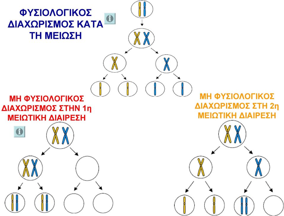 ΣΤΗΝ 1η ΜΕΙΩΤΙΚΗ ΔΙΑΙΡΕΣΗ ΜΗ