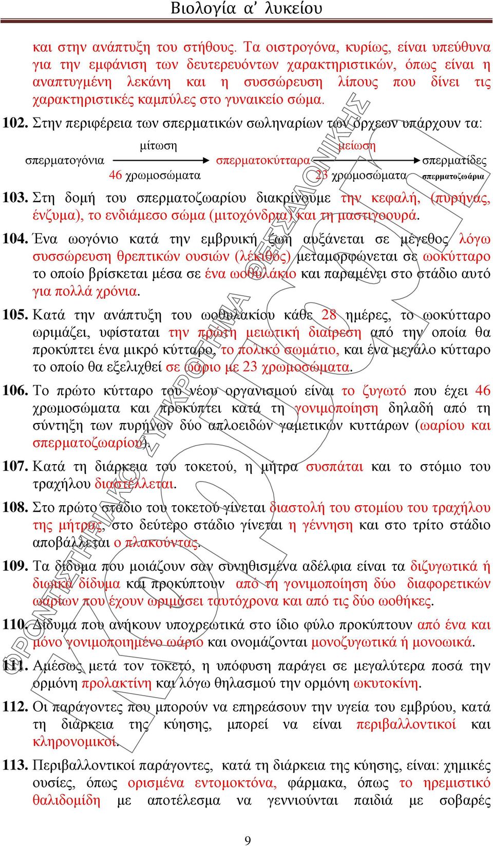 σώμα. 102. Στην περιφέρεια των σπερματικών σωληναρίων των όρχεων υπάρχουν τα: μίτωση μείωση σπερματογόνια σπερματοκύτταρα σπερματίδες 46 χρωμοσώματα 23 χρωμοσώματα σπερματοζωάρια 103.