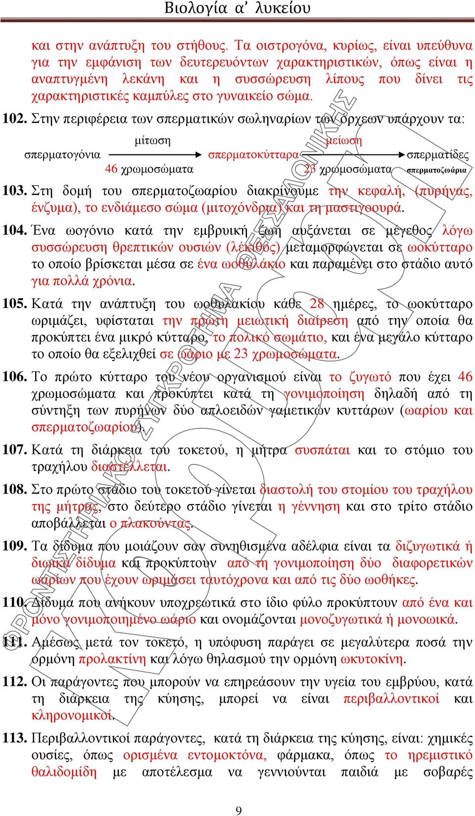 σώμα. 102. Στην περιφέρεια των σπερματικών σωληναρίων των όρχεων υπάρχουν τα: μίτωση μείωση σπερματογόνια σπερματοκύτταρα σπερματίδες 46 χρωμοσώματα 23 χρωμοσώματα σπερματοζωάρια 103.