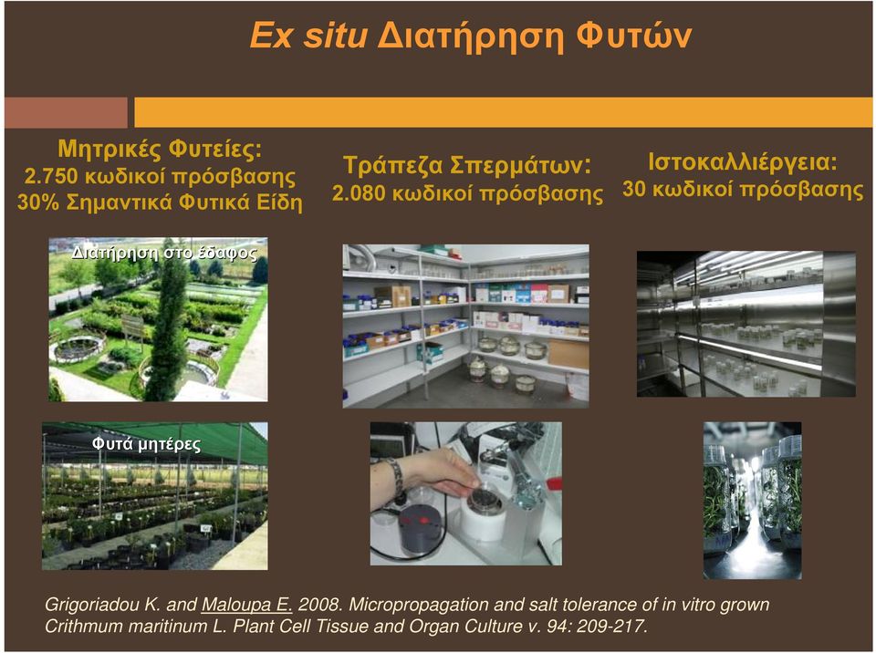 080 κωδικοί πρόσβασης Ιστοκαλλιέργεια: 30 κωδικοί πρόσβασης Διατήρηση στο έδαφος Φυτά