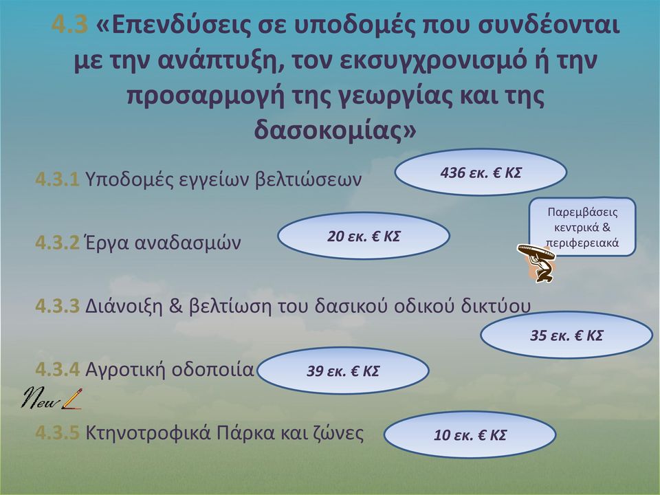 ΚΣ Παρεμβάσεις κεντρικά & περιφερειακά 4.3.3 Διάνοιξη & βελτίωση του δασικού οδικού δικτύου 4.3.4 Αγροτική οδοποιία 35 εκ.