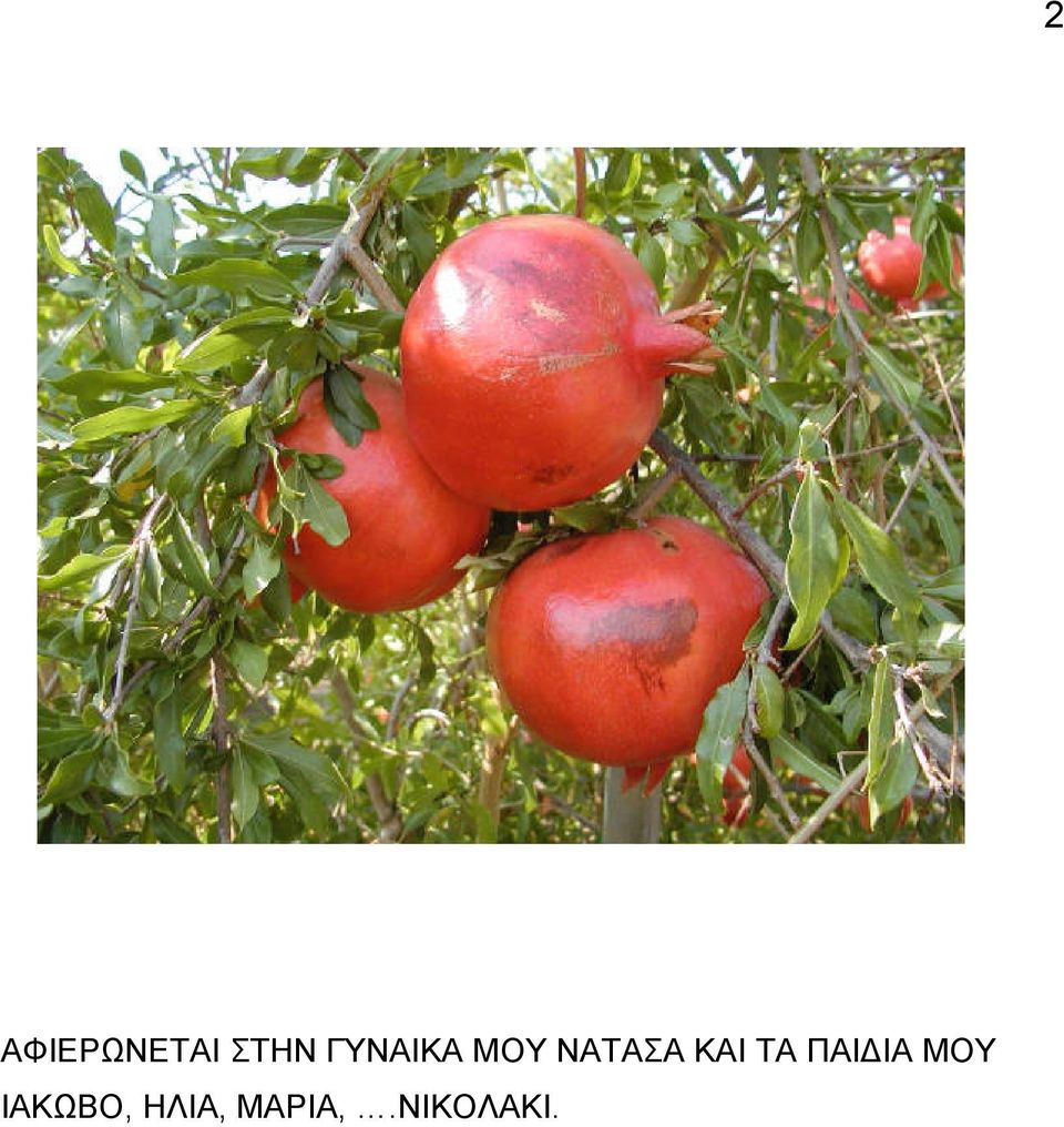 ΚΑΙ ΤΑ ΠΑΙ ΙΑ ΜΟΥ
