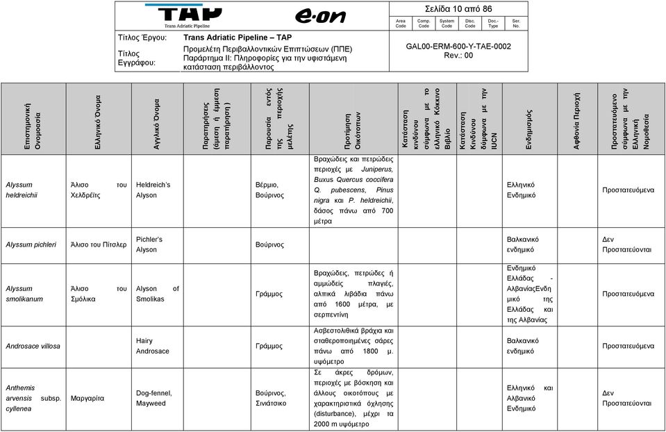 πλαγιές, αλπικά λιβάδια πάνω από 1600 μέτρα, με σερπεντίνη Ελλάδας - ΑλβανίαςΕνδη μικό της Ελλάδας και της Αλβανίας Ασβεστολιθικά βράχια και Androsace villosa Hairy Androsace σταθεροποιημένες σάρες