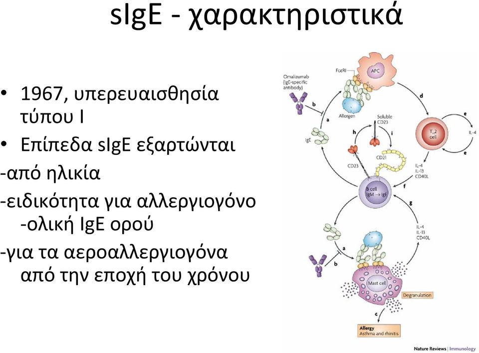 ειδικότητα για αλλεργιογόνο ολική IgE ορού