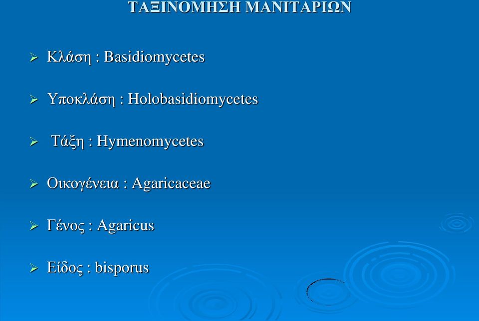 Holobasidiomycetes Τάξη :