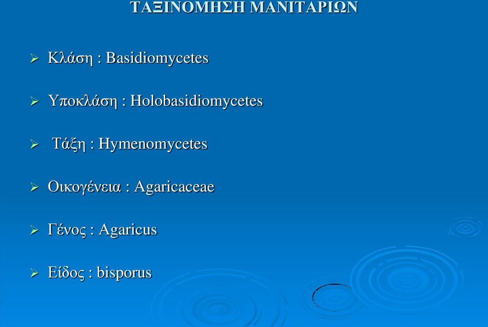 Holobasidiomycetes Τάξη :