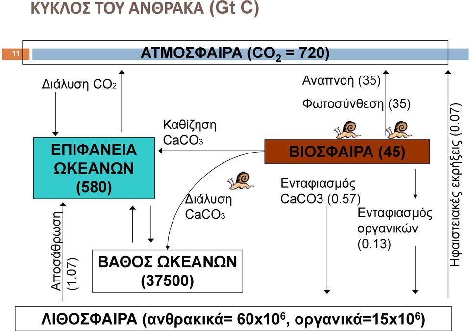 07) Καθίζηση CaCO3 ιάλυση CaCO3 ΒΑΘΟΣ ΩΚΕΑΝΩΝ (37500) Αναπνοή (35) Φωτοσύνθεση (35)
