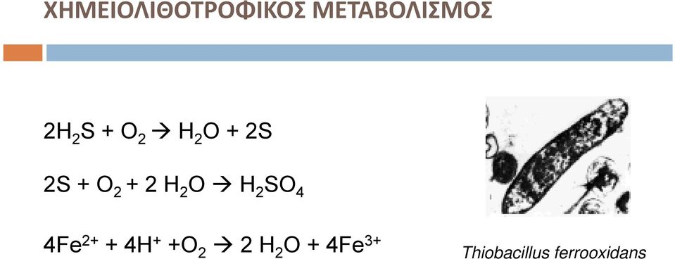 O H 2 SO 4 4Fe 2+ + 4H + +O 2 2 H 2
