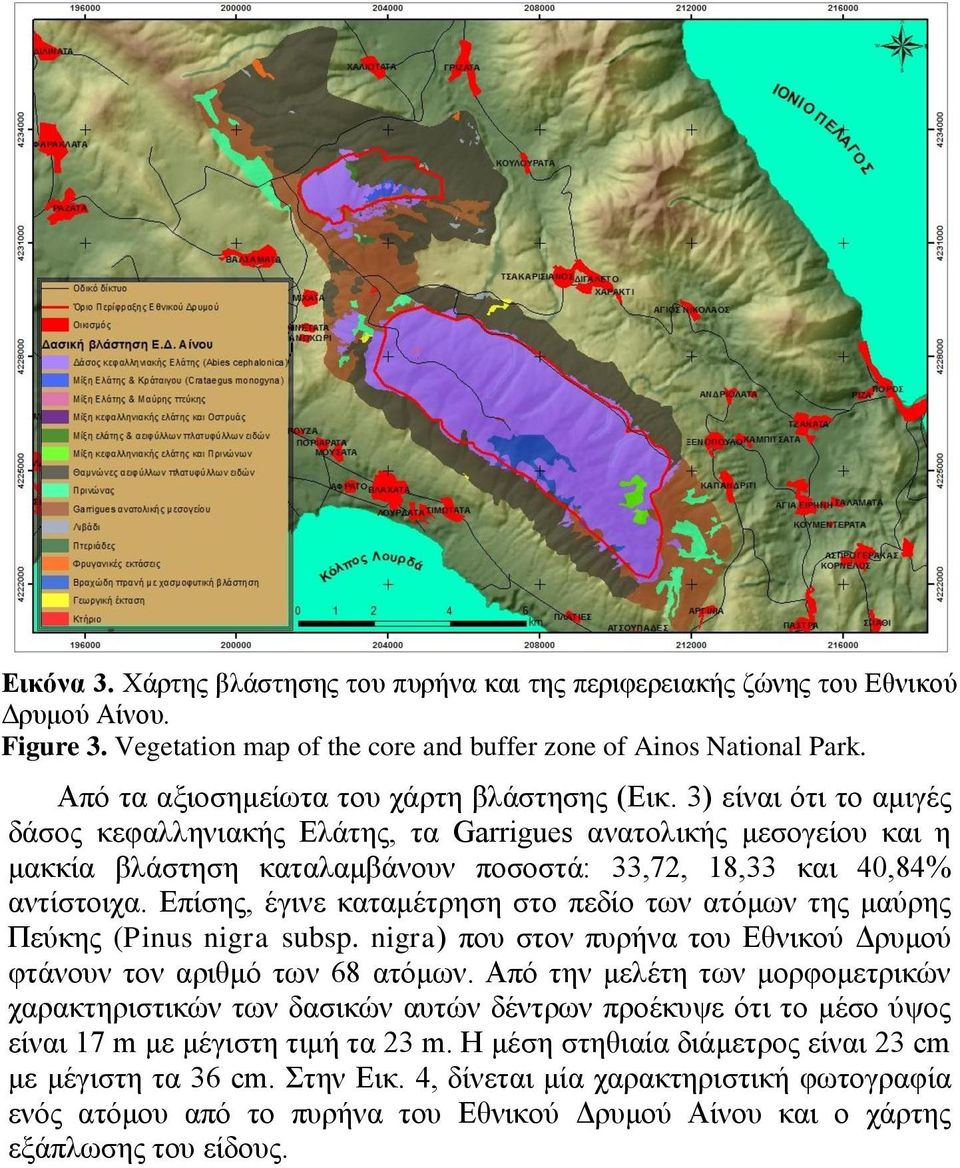 3) είναι ότι το αμιγές δάσος κεφαλληνιακής Ελάτης, τα Garrigues ανατολικής μεσογείου και η μακκία βλάστηση καταλαμβάνουν ποσοστά: 33,72, 18,33 και 40,84% αντίστοιχα.