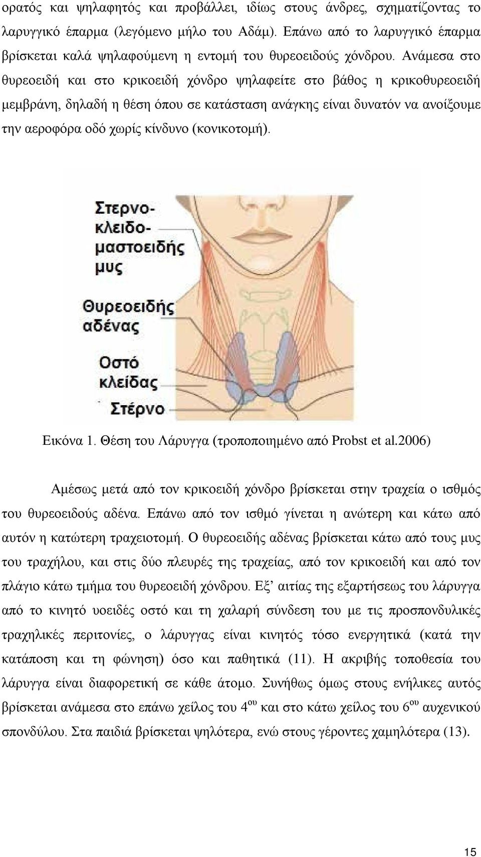 Ανάμεσα στο θυρεοειδή και στο κρικοειδή χόνδρο ψηλαφείτε στο βάθος η κρικοθυρεοειδή μεμβράνη, δηλαδή η θέση όπου σε κατάσταση ανάγκης είναι δυνατόν να ανοίξουμε την αεροφόρα οδό χωρίς κίνδυνο