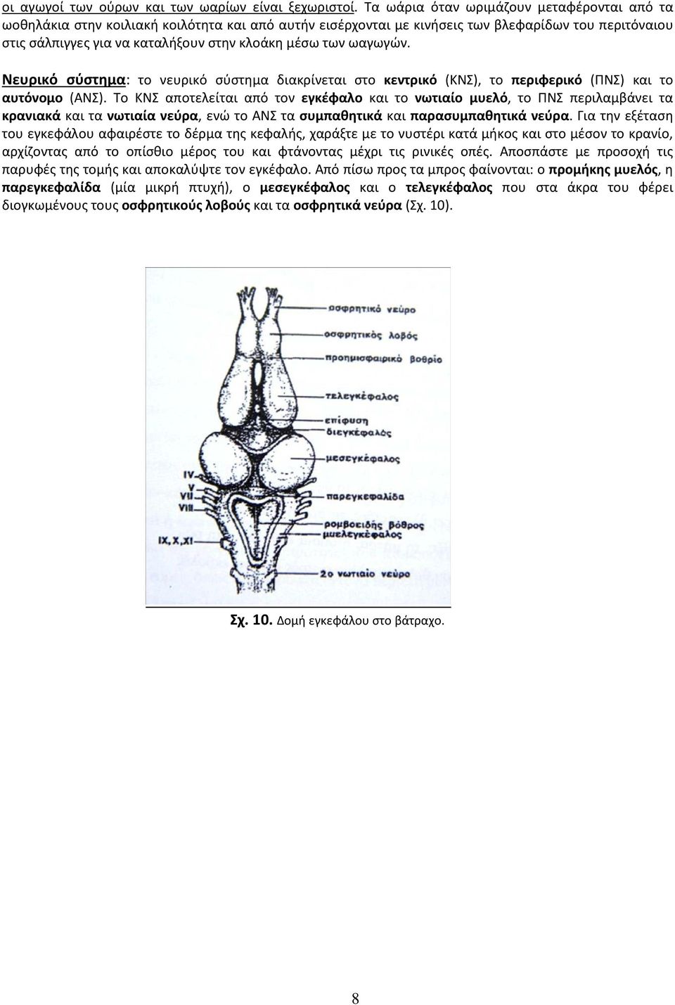 article thumbnail