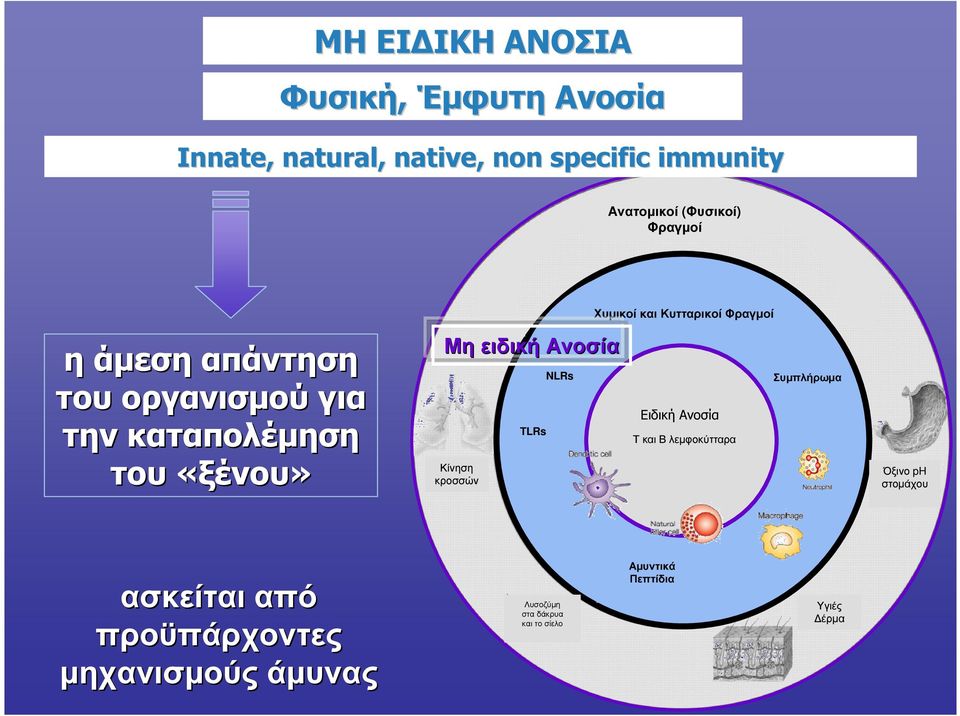 «ξένου» ασκείται από προϋπάρχοντες µηχανισµούς άµυνας Μη ειδική Ανοσία NLRs Συµπλήρωµα Ειδική Ανοσία TLRs