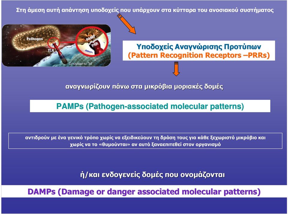 patterns) αντιδρούν µε ένα γενικό τρόπο χωρίς να εξειδικεύουν τη δράση τους για κάθε ξεχωριστό µικρόβιο και χωρίς να το