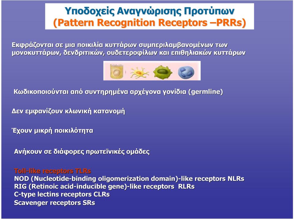 κλωνική κατανοµή Έχουν µικρή ποικιλότητα Ανήκουν σε διάφορες πρωτεϊνικές οµάδες Toll-like like receptors TLRs NOD (Nucleotide-binding