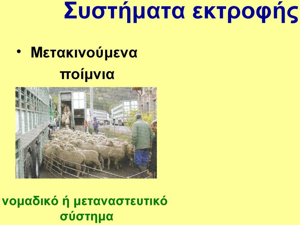 ποίμνια νομαδικό ή