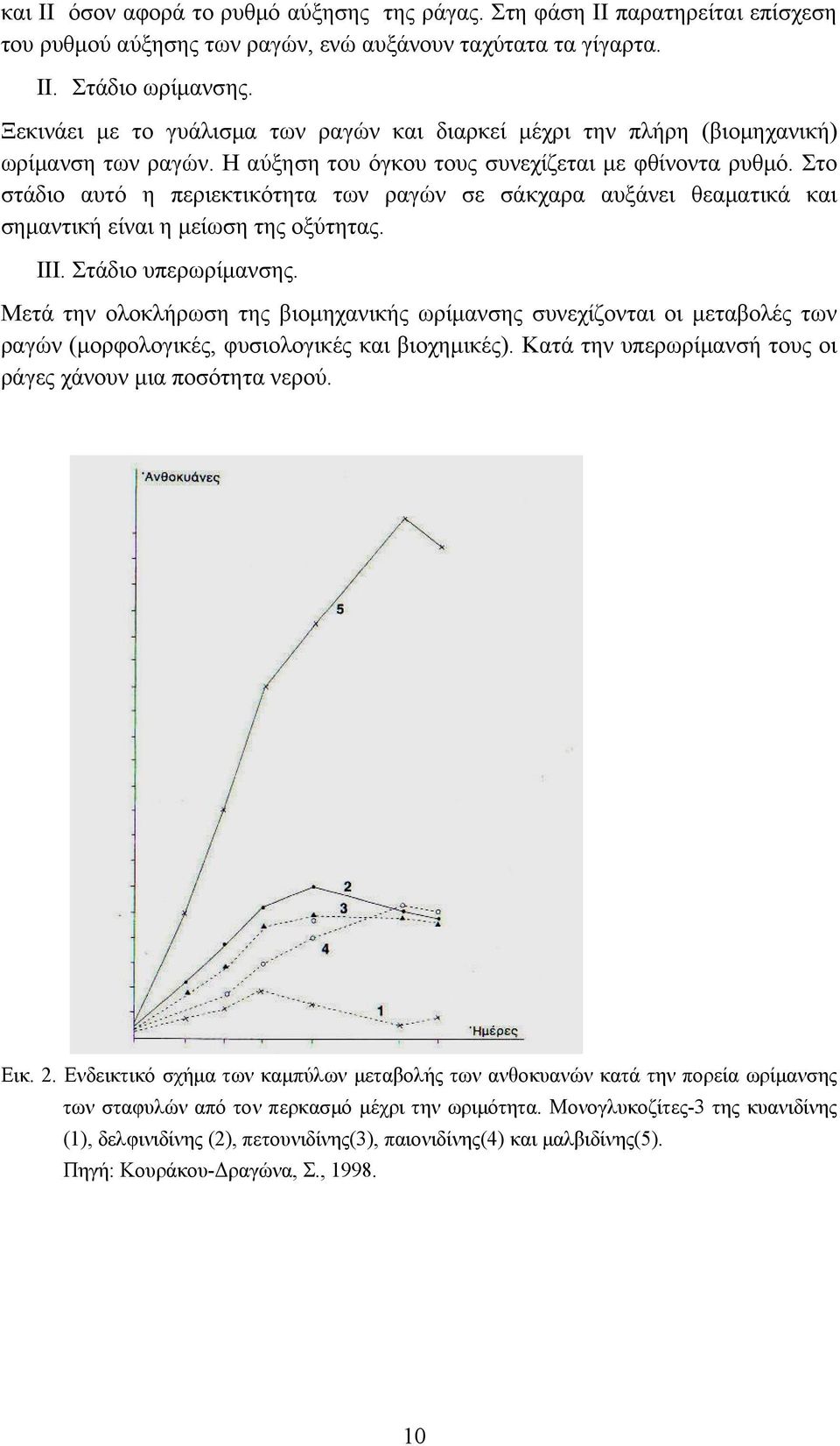 Στο στάδιο αυτό η περιεκτικότητα των ραγών σε σάκχαρα αυξάνει θεαματικά και σημαντική είναι η μείωση της οξύτητας. III. Στάδιο υπερωρίμανσης.