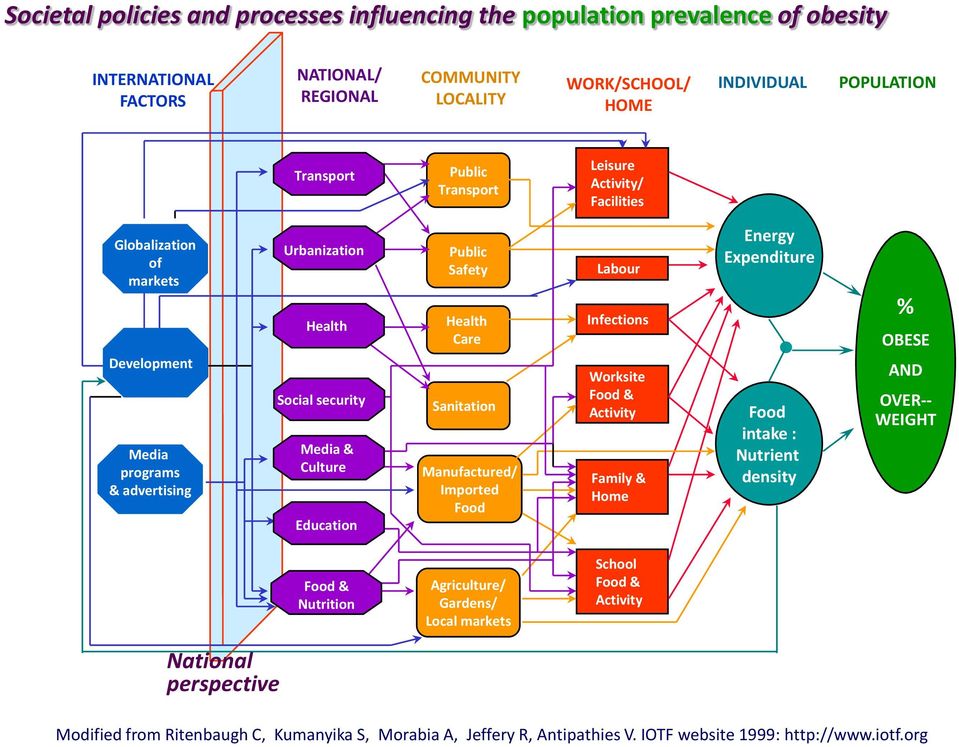Health Care Sanitation Manufactured/ Imported Food Labour Infections Worksite Food & Activity Family & Home Energy Expenditure Food intake : Nutrient density % OBESE AND OVER-- WEIGHT Food &