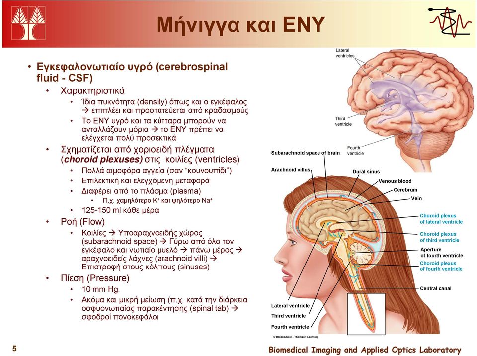 Επιλεκτική και ελεγχό