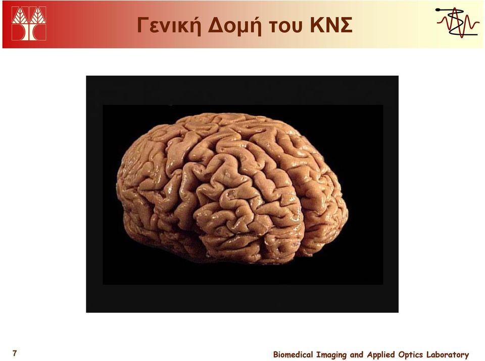ΚΝΣ 7