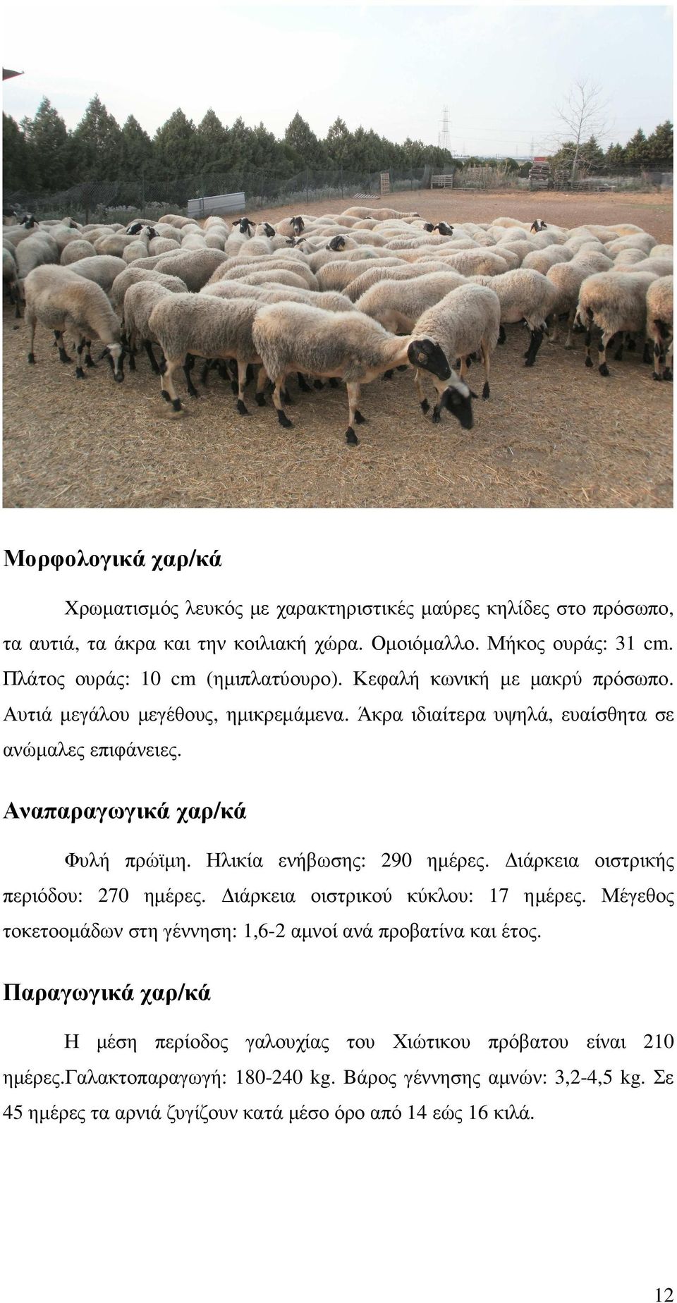 Αναπαραγωγικά χαρ/κά Φυλή πρώϊµη. Ηλικία ενήβωσης: 290 ηµέρες. ιάρκεια οιστρικής περιόδου: 270 ηµέρες. ιάρκεια οιστρικού κύκλου: 17 ηµέρες.
