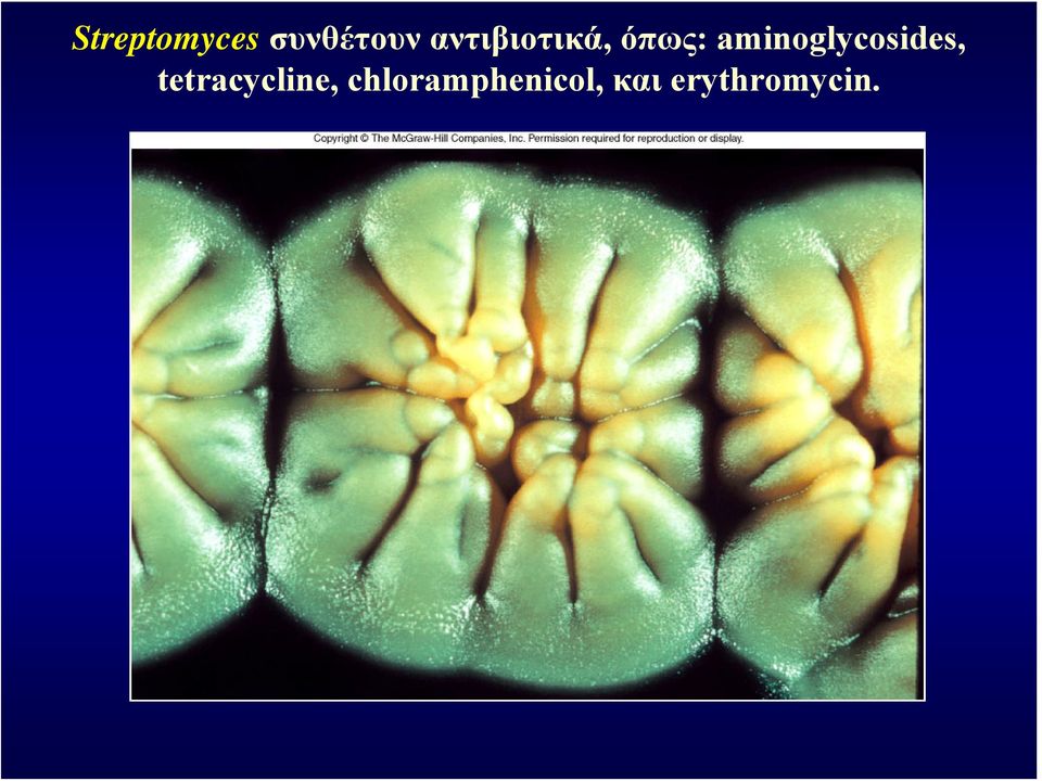 aminoglycosides,