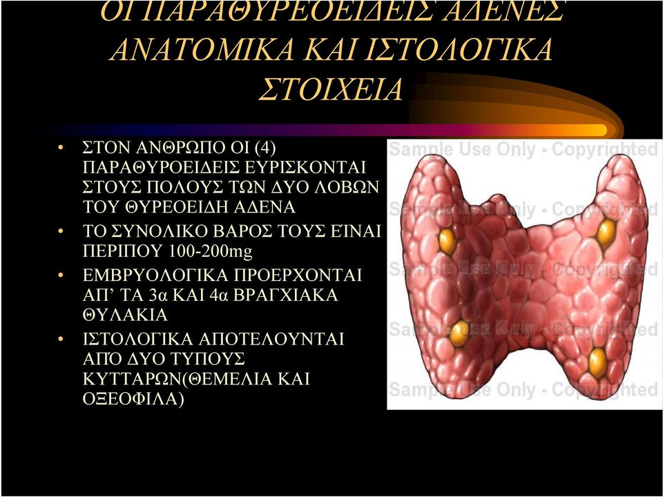 ΣΥΝΟΛΙΚΟ ΒΑΡΟΣ ΤΟΥΣ ΕΊΝΑΙ ΠΕΡΙΠΟΥ 100-200mg ΕΜΒΡΥΟΛΟΓΙΚΑ ΠΡΟΕΡΧΟΝΤΑΙ ΑΠ ΤΑ 3α