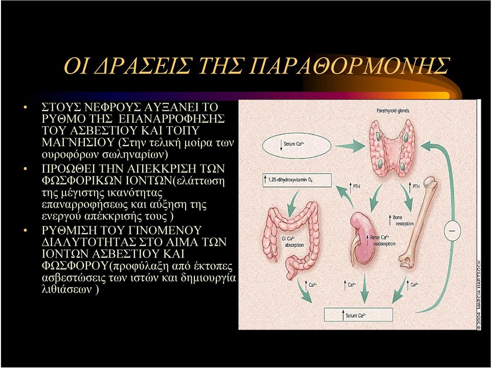 της μέγιστης ικανότητας επαναρροφήσεως και αύξηση της ενεργού απέκκρισής τους ) ΡΥΘΜΙΣΗ ΤΟΥ ΓΙΝΟΜΕΝΟΥ