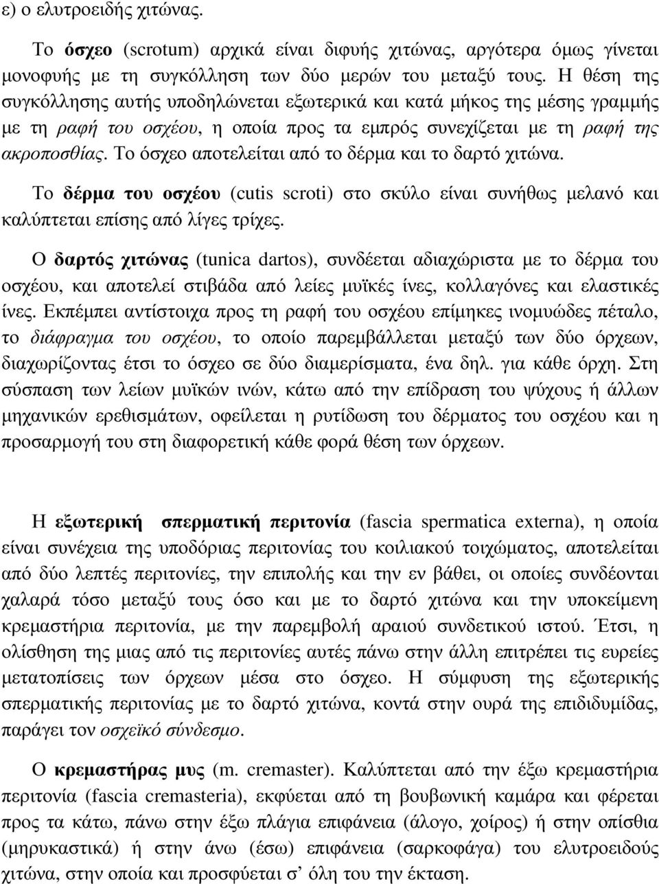 Το όσχεο αποτελείται από το δέρµα και το δαρτό χιτώνα. Το δέρµα του οσχέου (cutis scroti) στο σκύλο είναι συνήθως µελανό και καλύπτεται επίσης από λίγες τρίχες.