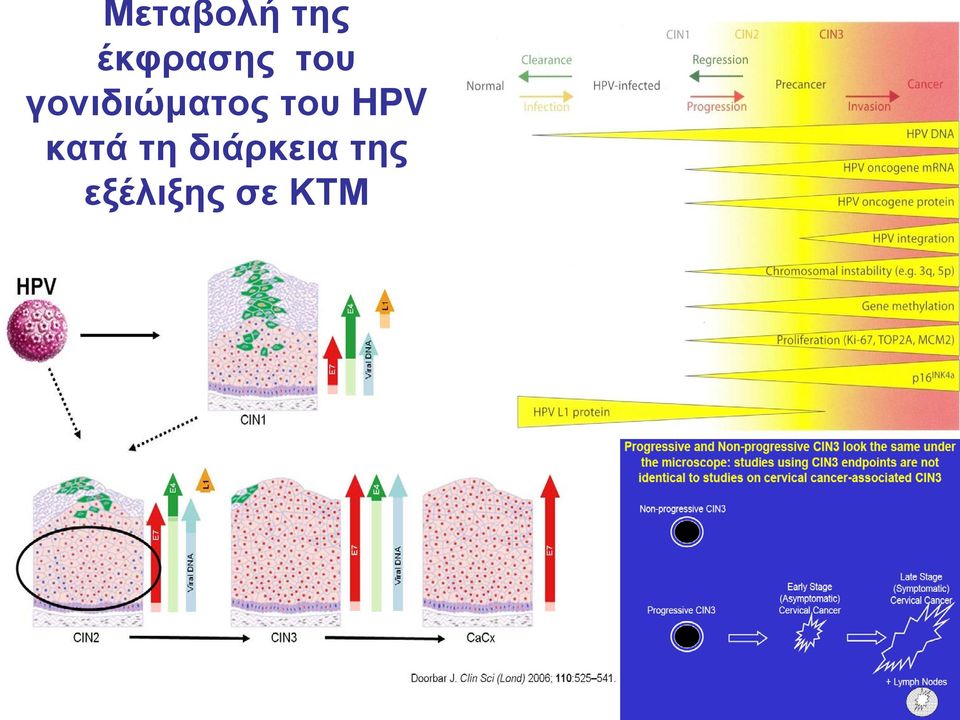 γονιδιώματος του HPV