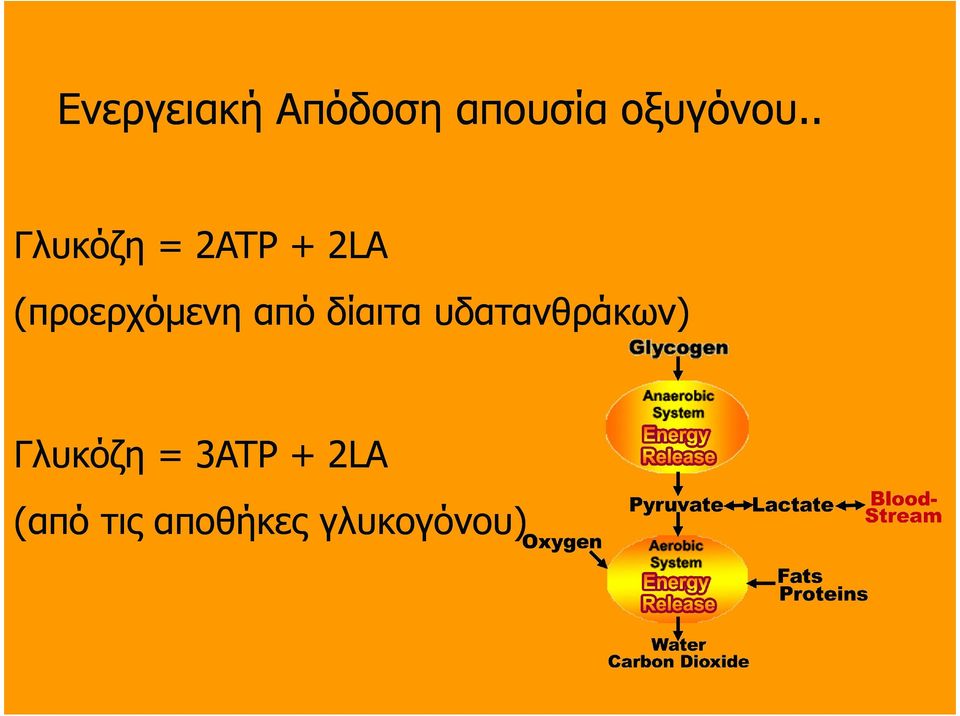 από δίαιτα υδατανθράκων) Γλυκόζη =