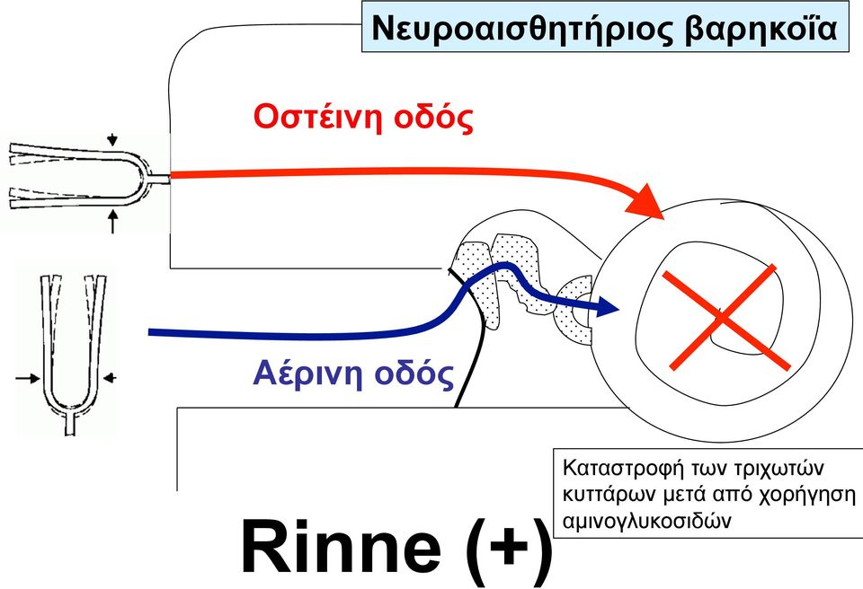 Καταστροφή των τριχωτών
