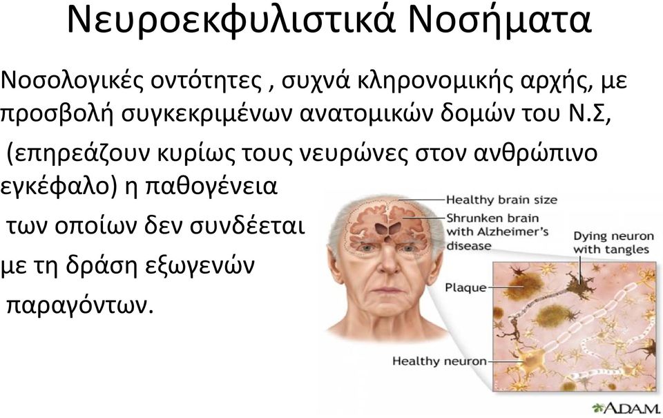 του Ν.